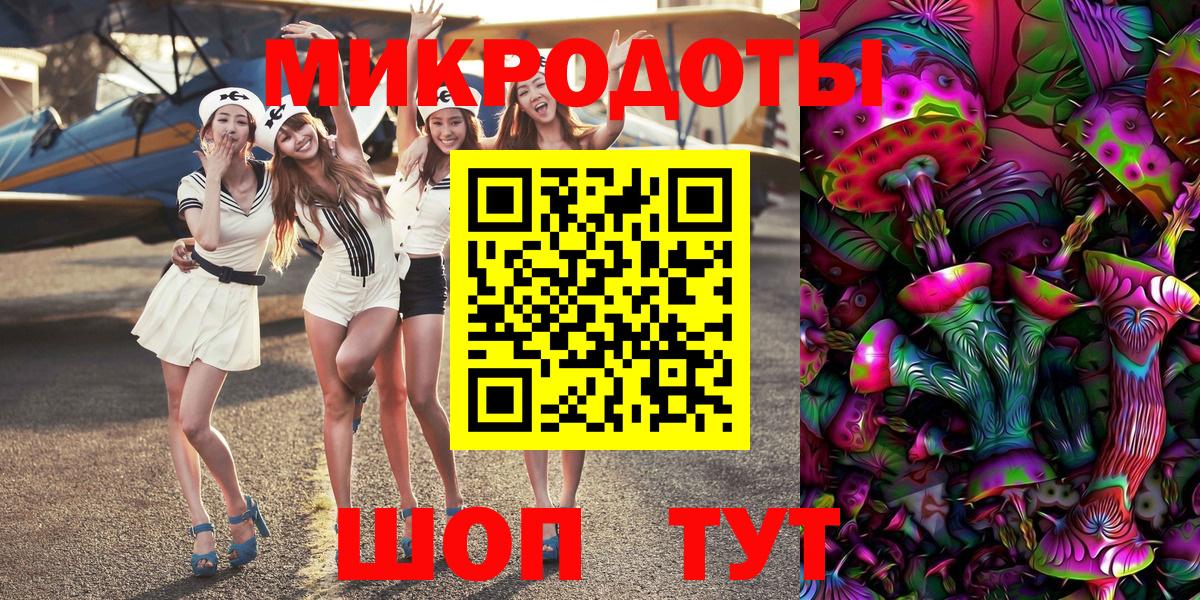 Псилоцибиновые грибы Psilocybine cubensis Осинники