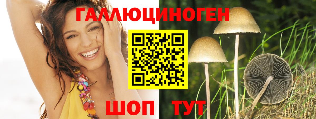 Осинники  Псилоцибиновые грибы Psilocybe  Вход с VPN 